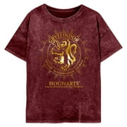 Harry Potter Womens Gryffindor Constellation T-Shirt